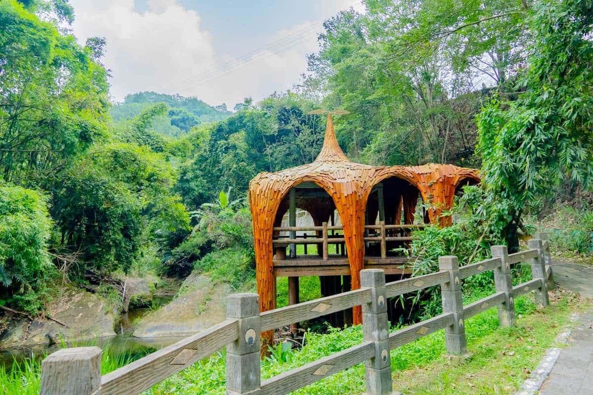 苗栗神祕網美景點！打卡百年水圳古道，美拍「大鳥巢」、純白編織床