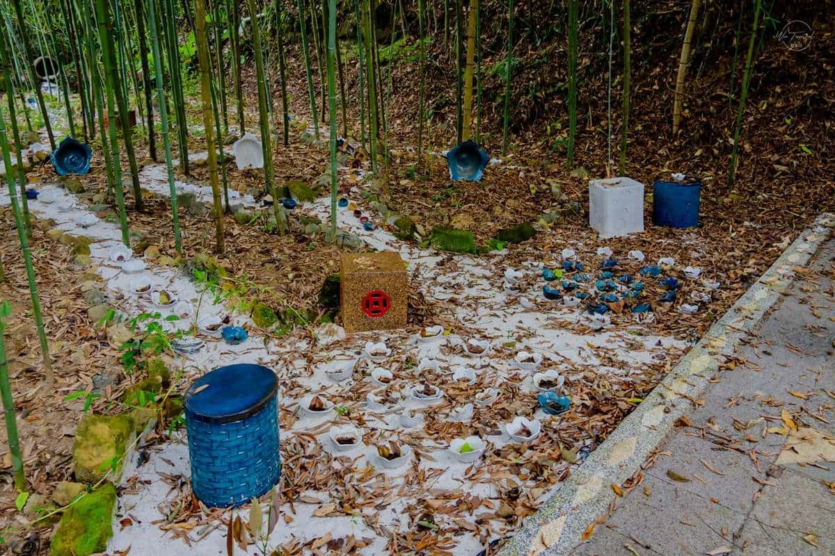 苗栗神祕網美景點！打卡百年水圳古道，美拍「大鳥巢」、純白編織床