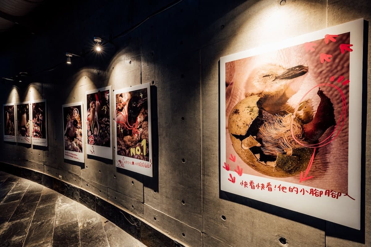 全年免費暢遊海生館！藝FUN券超狂升級方案，爽看冬季新活動、療癒企鵝寶寶展