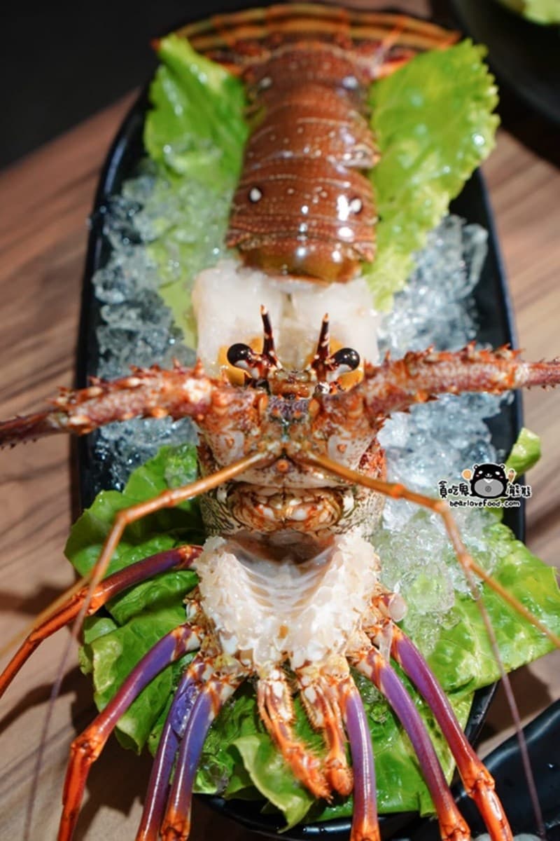 龍蝦買一送一！台南「高CP值麻辣鍋」壽星肉盤免費升級，豆腐、鴨血一咬爆汁