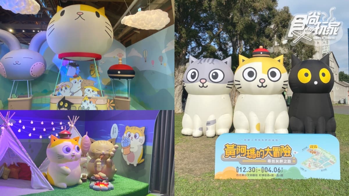 黃阿瑪首次大型特展來了！４大亮點搶先看：巨型貓咪樂園、喵視角玩貓砂盆