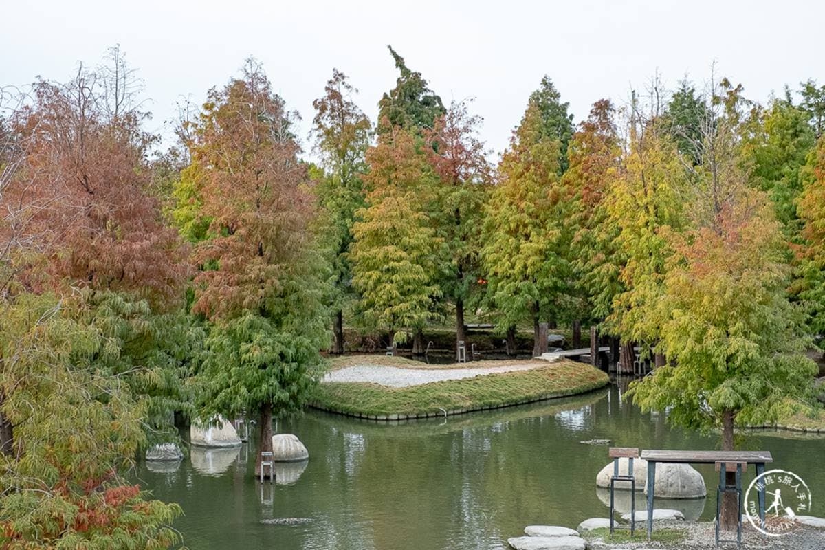 台版「兼六園」在這！雲林日式生態園打卡「愛心小島」，整片落羽松超好拍