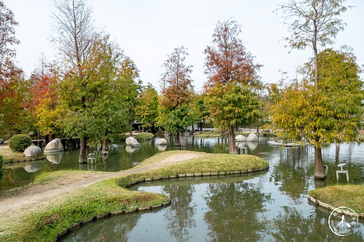台版「兼六園」在這！雲林日式生態園打卡「愛心小島」，整片落羽松超好拍