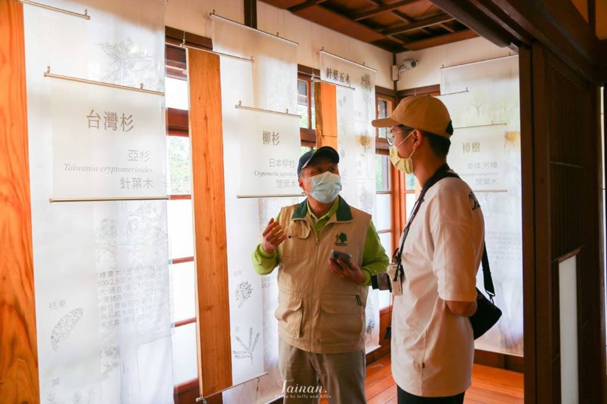 IG搶打卡！台南75年日式宿舍變身「木材故事館」，體驗區可聞檜木香、敲擊木片