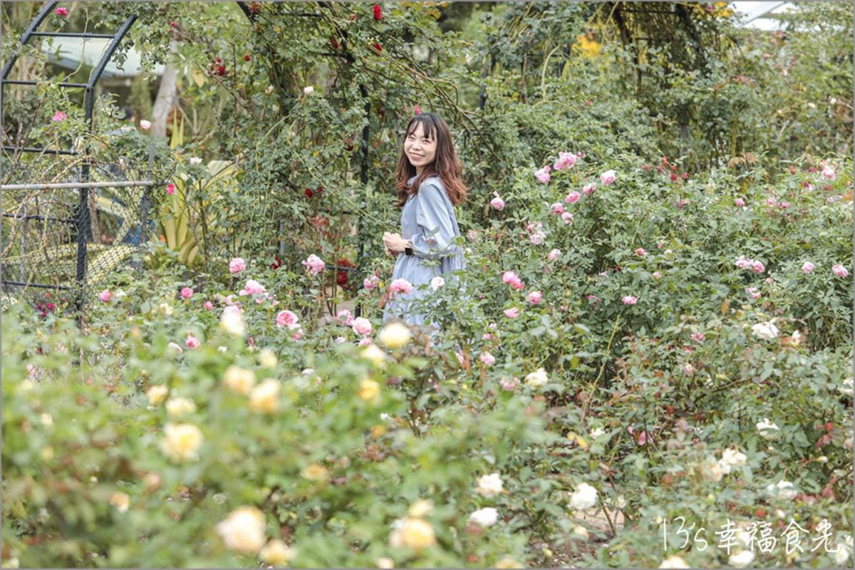 秒飛歐洲花園！苗栗「植物園區」花圈步道＋荷蘭風車超好拍，還能喝手沖咖啡