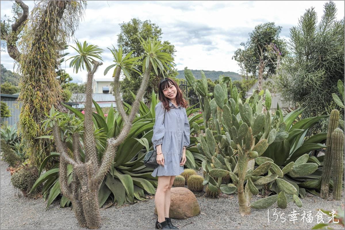 秒飛歐洲花園！苗栗「植物園區」花圈步道＋荷蘭風車超好拍，還能喝手沖咖啡