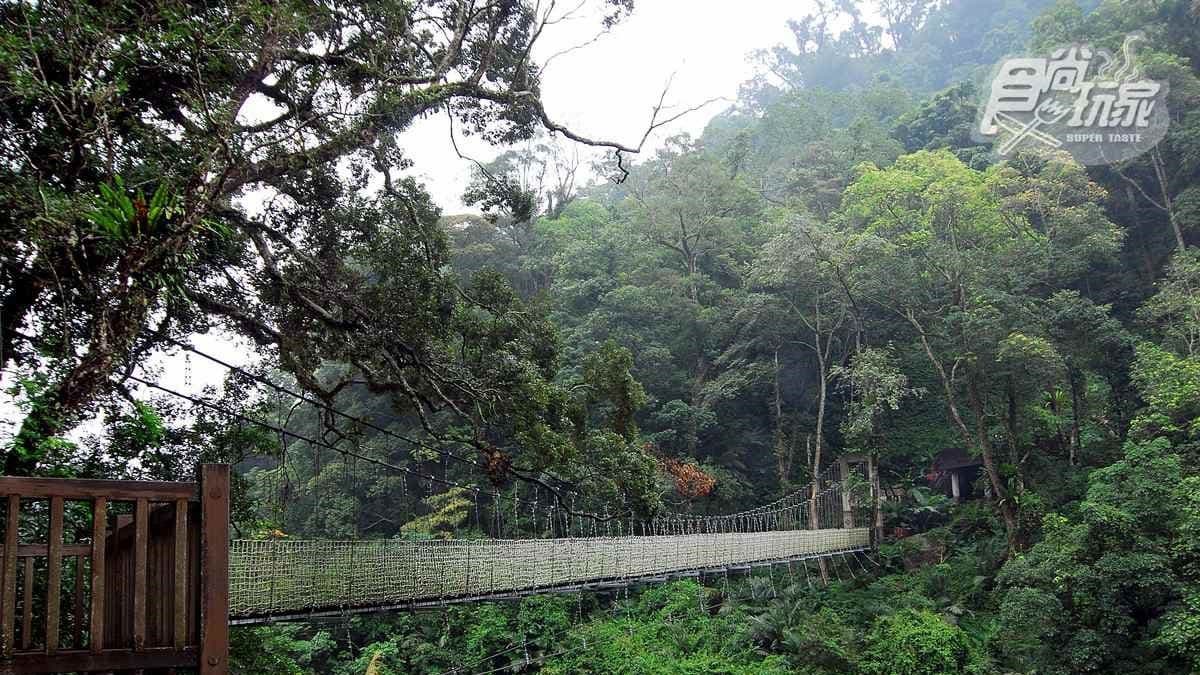 神仙谷吊橋
