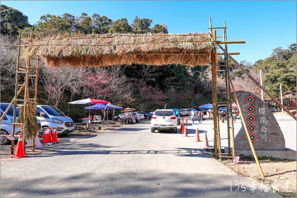 打卡整片粉色仙境！高雄櫻花公園「河津櫻」浪漫盛開，山景＋櫻花樹超好拍