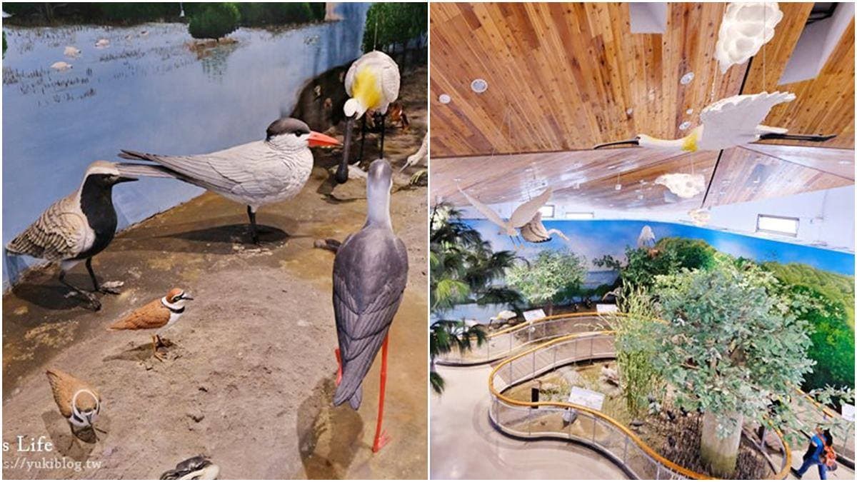 親子出遊首選!台南5大超好玩「免門票景點」:香腸博物館、國家公園生態區 親子出遊首選!台南5大超好玩「免門票景點」:香腸博物館、國家公園生態區