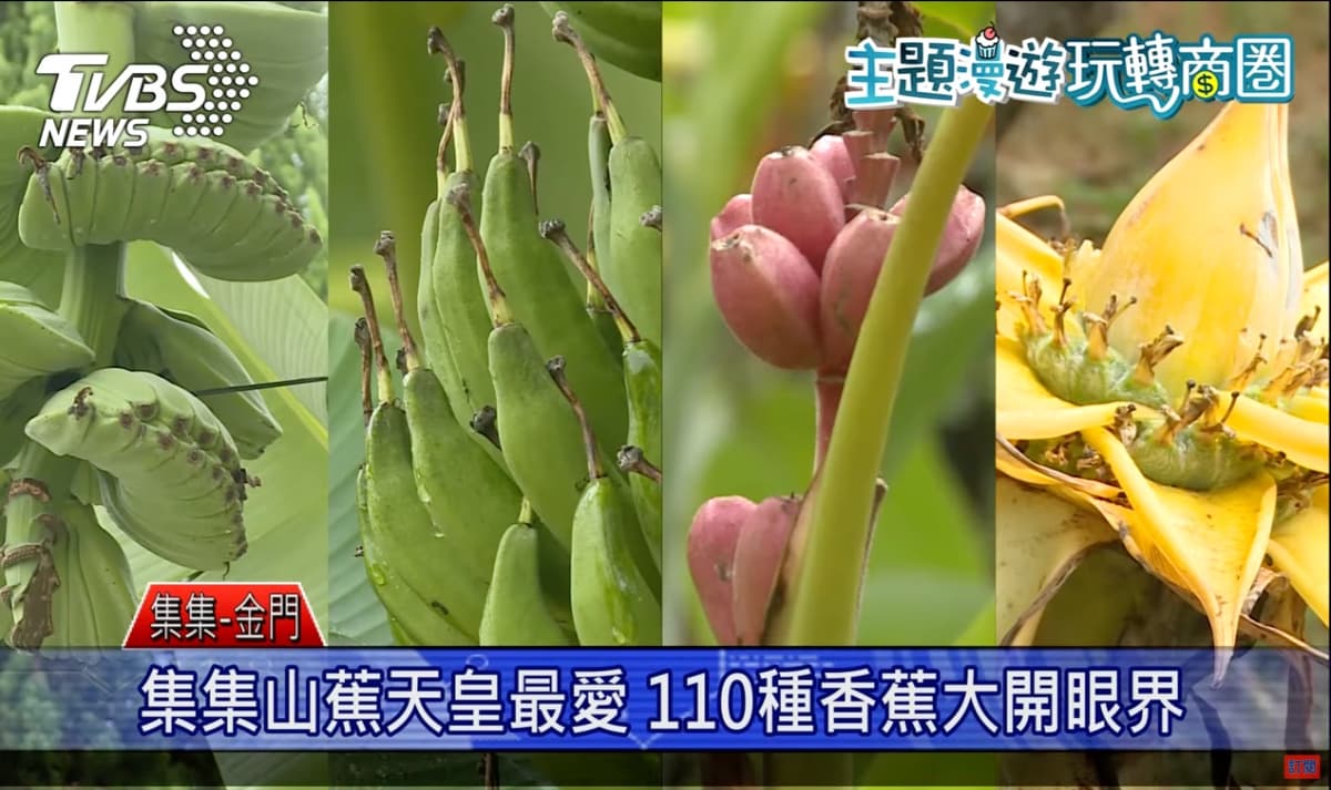 香蕉控必訪集集商圈,香蕉零食五花八門;另類玩法:換古裝在後浦商圈上演「穿越劇」 香蕉控必訪集集商圈,香蕉零食五花八門;另類玩法:換古裝在後浦商圈上演「穿越劇」