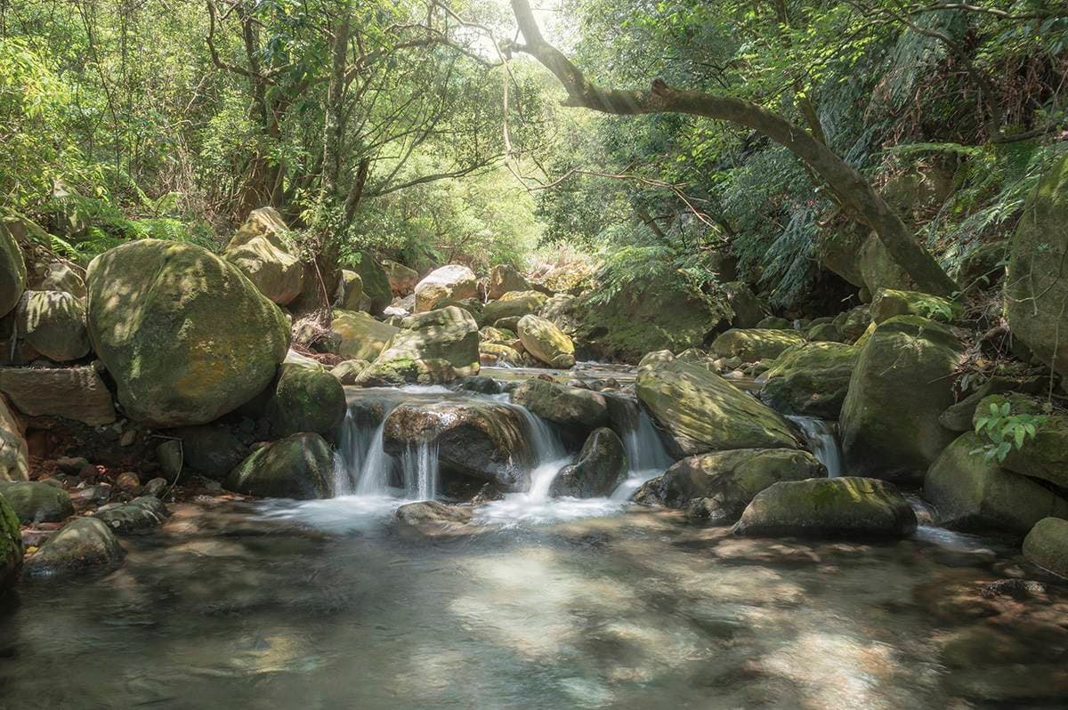 不用花錢爽泡湯！陽明山「溫泉祕境」享受天然牛奶泉，迷你瀑布宛如置身森林