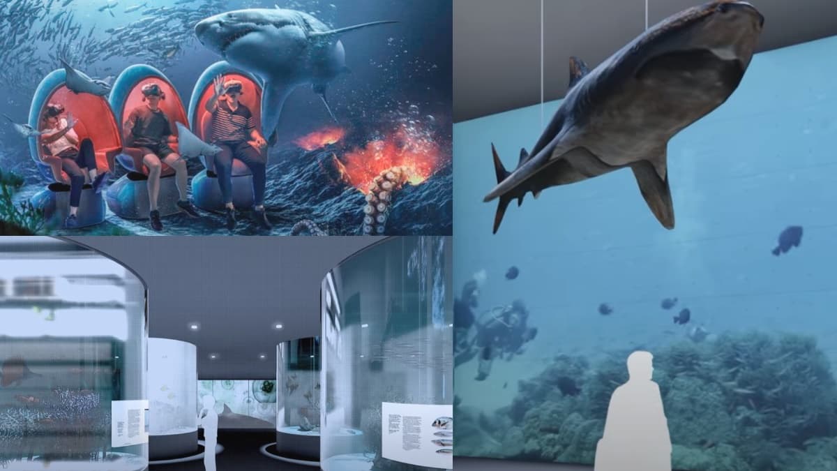 北北基首座水族館３月開！近千坪「潮境智能海洋館」玩VR海底隧道、巨型觀賞缸