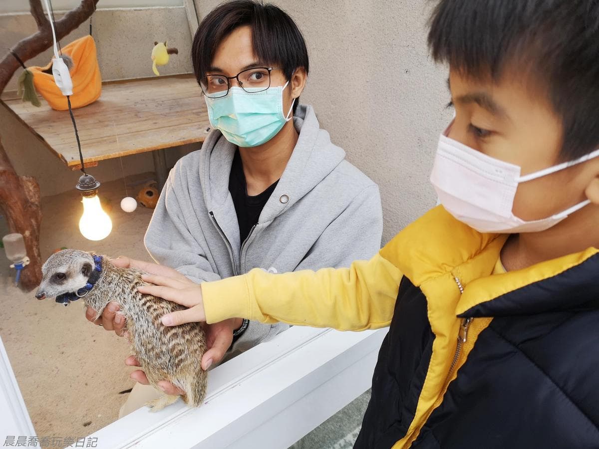 偽出國！宜蘭「美式荒野風農場」必拍牛仔馬車、沙漠仙人掌，還能摸超Q狐獴