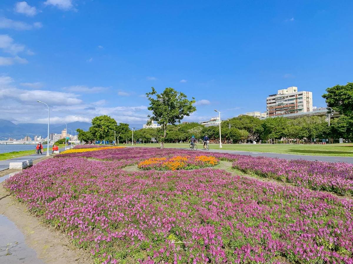 IG瘋打卡!北中南7大仙氣花海:彩色波斯菊、台版富良野花田、繽紛鼠尾草 IG瘋打卡!北中南7大仙氣花海:彩色波斯菊、台版富良野花田、繽紛鼠尾草
