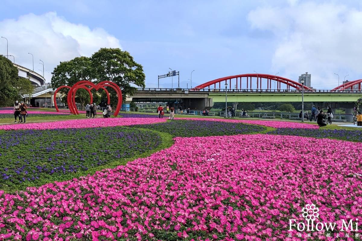 IG瘋打卡!北中南7大仙氣花海:彩色波斯菊、台版富良野花田、繽紛鼠尾草 IG瘋打卡!北中南7大仙氣花海:彩色波斯菊、台版富良野花田、繽紛鼠尾草