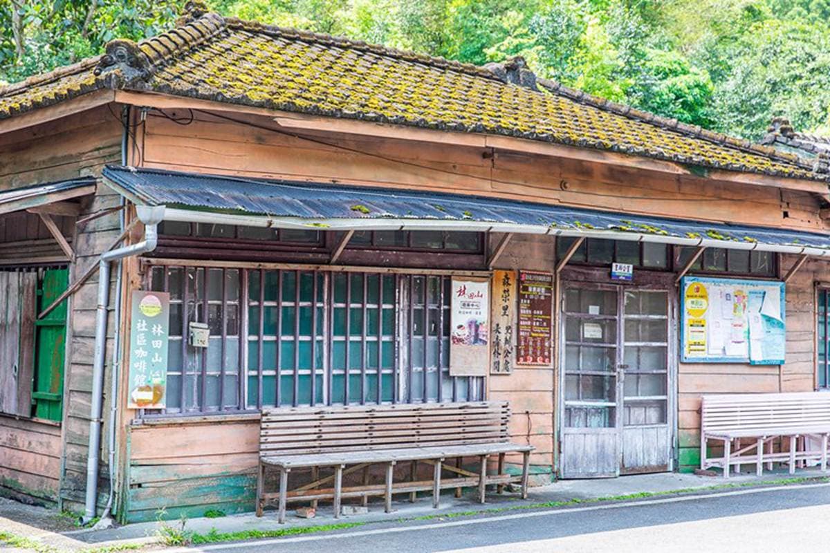 吃貨激推No.1！「巨大叉燒乾麵」藏在百年林場裡，１碗有２片比拳頭還大