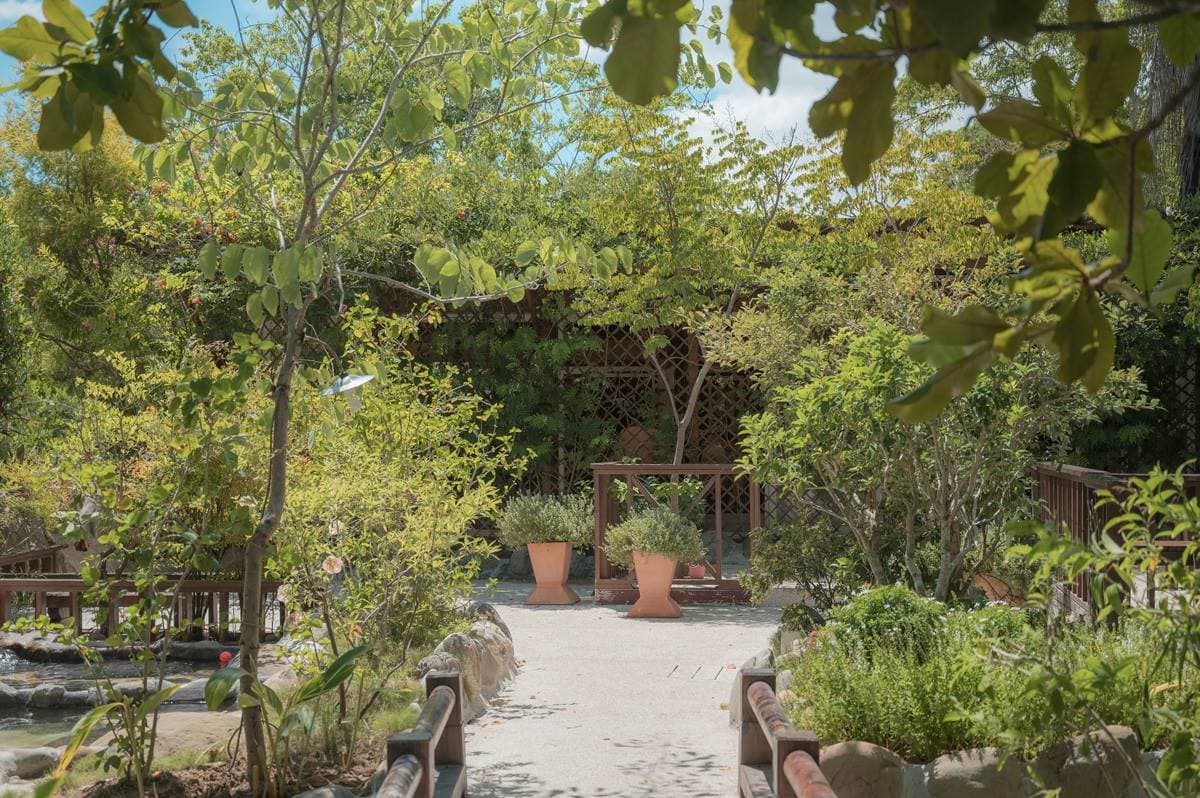 不限時泡湯只要250元！千坪「露天溫泉」爽泡美人湯，先搶親子溫泉湯屋區