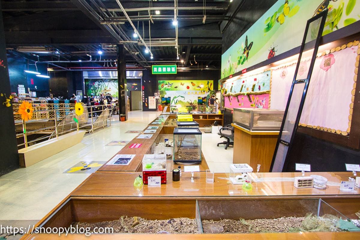 球形「溫室玻璃屋」超好拍！打卡夢幻蝴蝶步道，還有全台唯一旋轉彩蝶柱