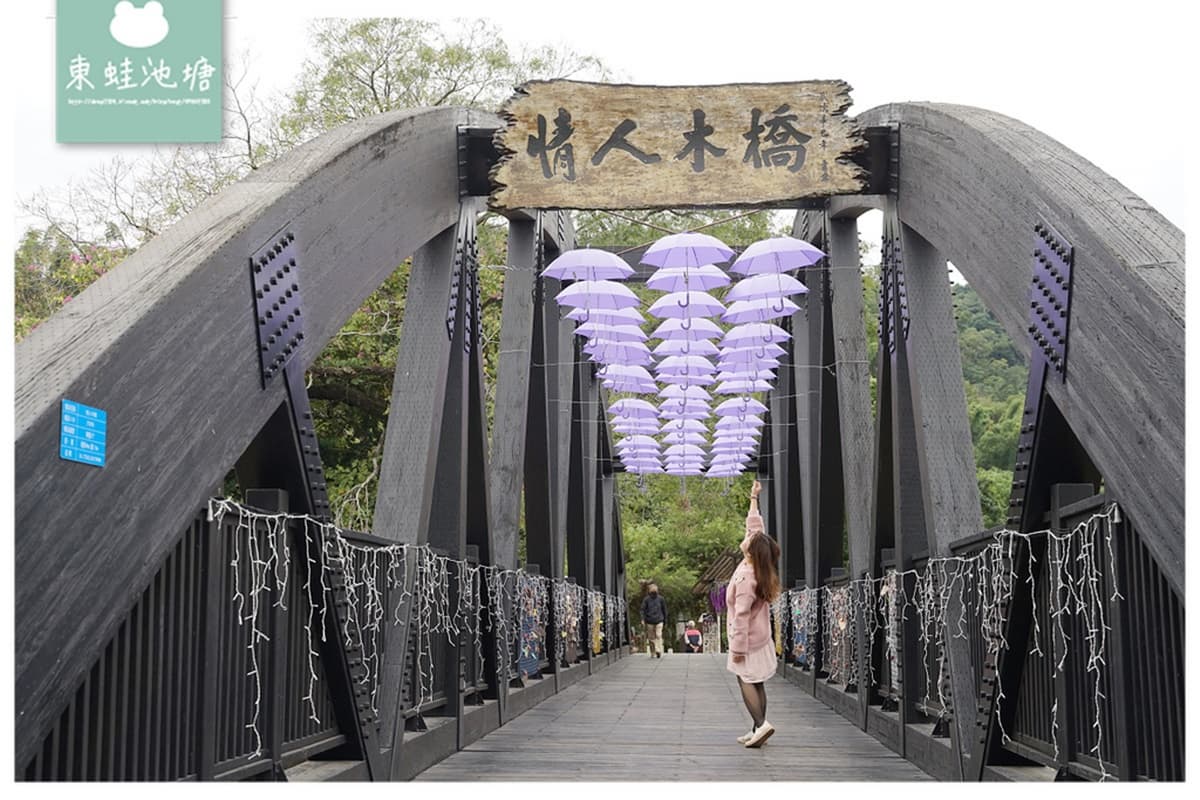 免飛日本賞夢幻紫藤花！台中「石岡花漾園區」打卡騰空紫色花瀑、紫雨傘隧道
