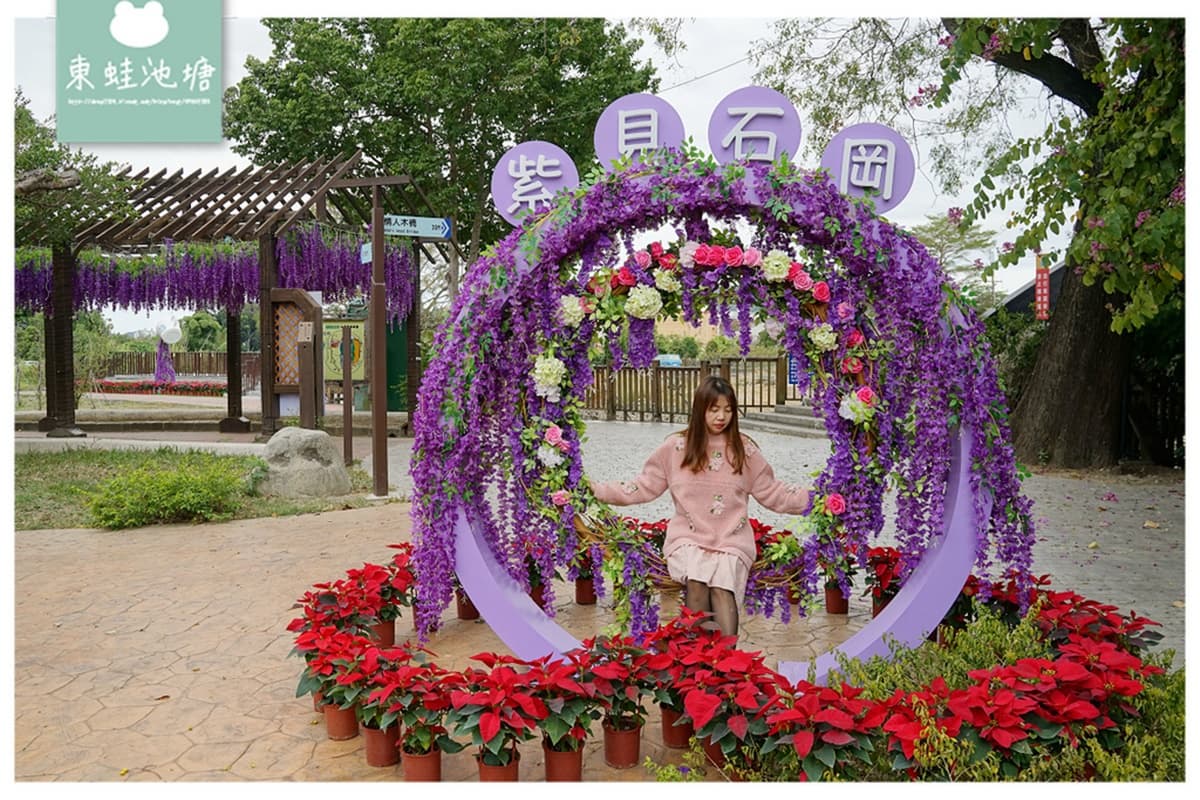免飛日本賞夢幻紫藤花！台中「石岡花漾園區」打卡騰空紫色花瀑、紫雨傘隧道