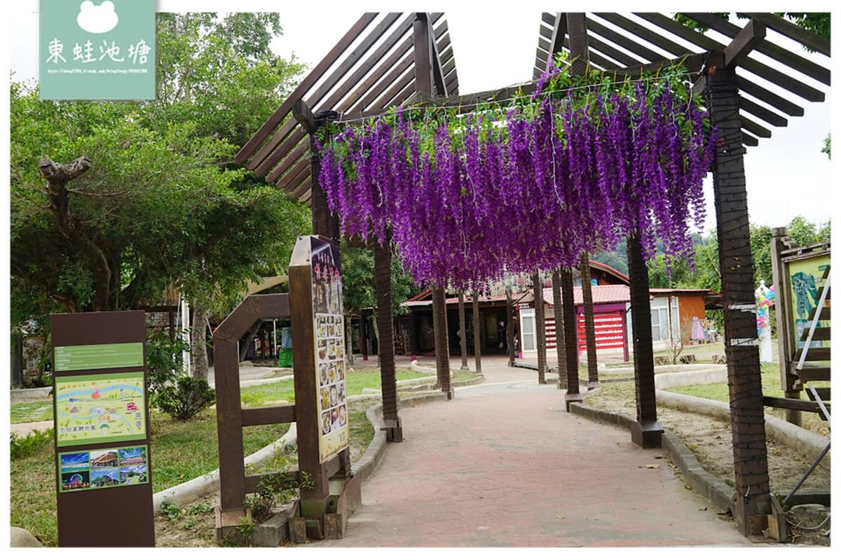免飛日本賞夢幻紫藤花！台中「石岡花漾園區」打卡騰空紫色花瀑、紫雨傘隧道