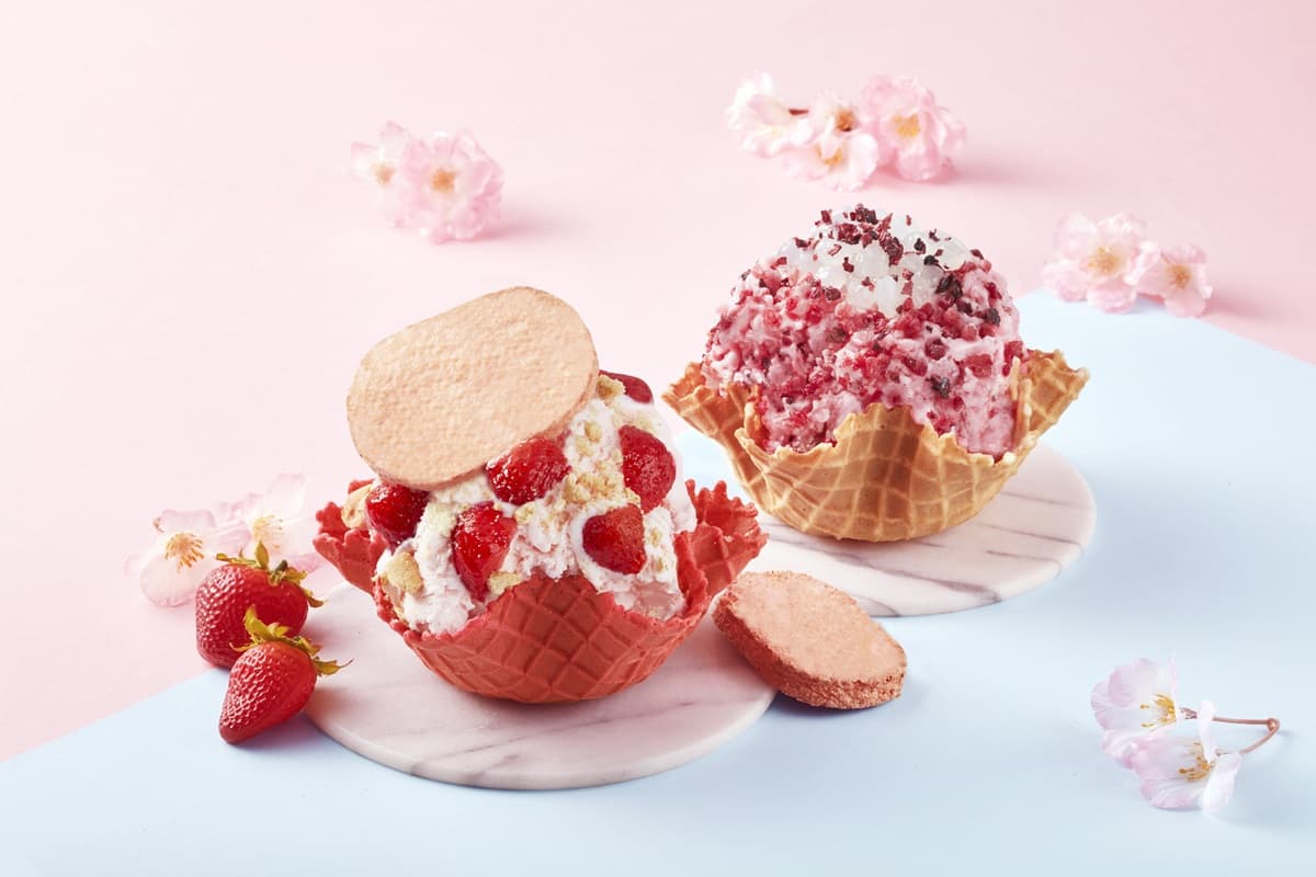 COLD STONE買一送一！２款櫻花季新品必嘗鮮，還有超萌「莎莉冰淇淋蛋糕」