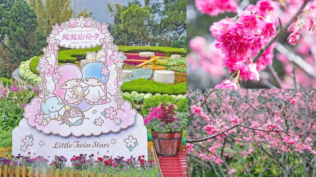 賞櫻跟三麗鷗巨星合照！「2022陽明山花季×雙星仙子」限定打卡，228連假必朝聖