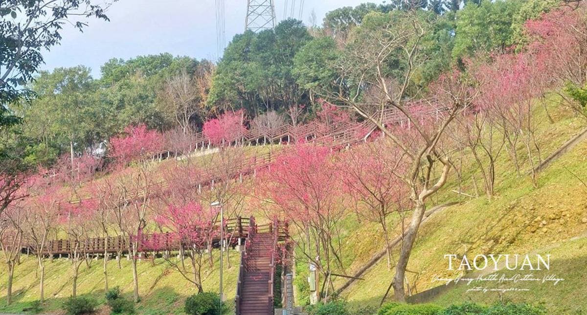 長庚養生文化村