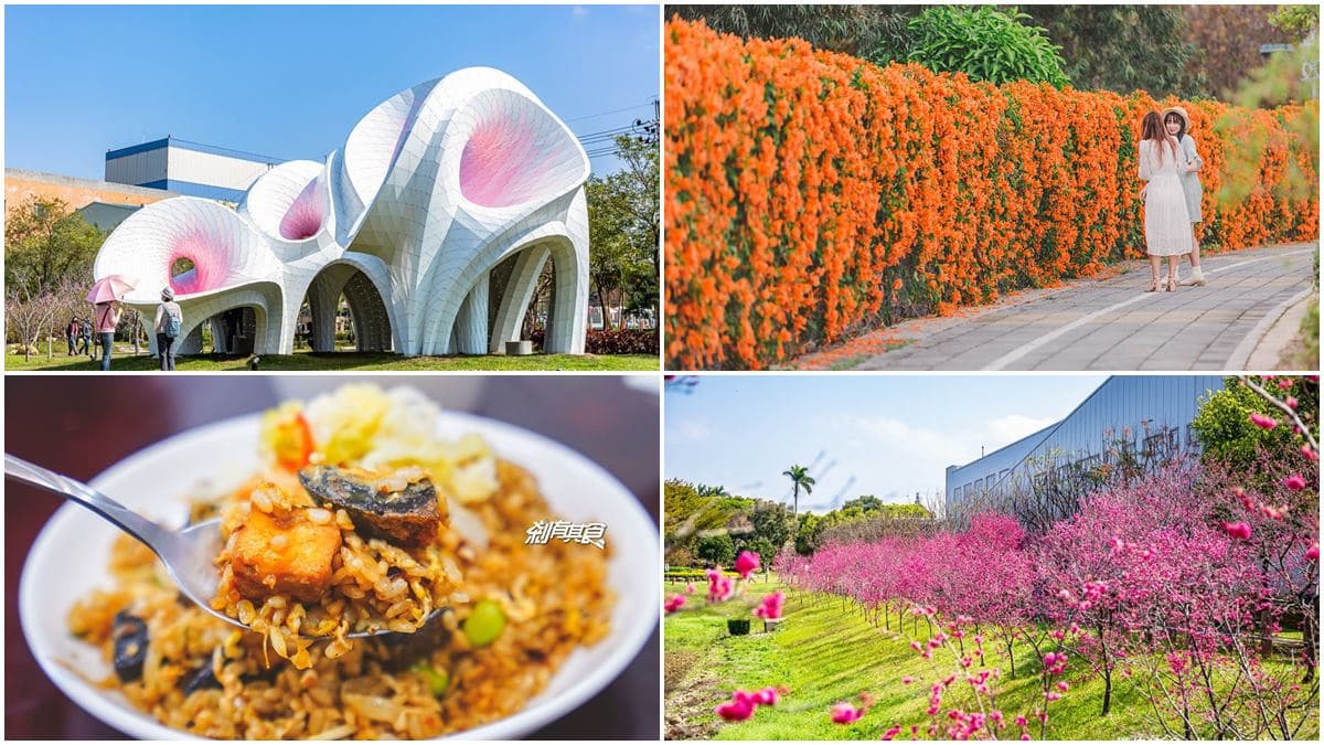 228連假衝台中！打卡300公尺炮仗花牆、千坪櫻花公園，順路吃超有哏地獄炒飯