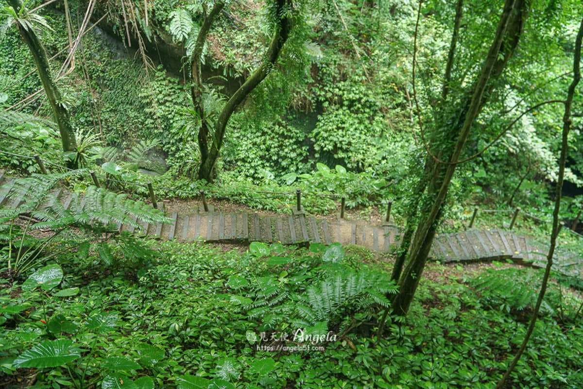 最短10分鐘走完！６條「懶人步道」打卡祕境景觀：隱藏版台灣地圖、網美瀑布