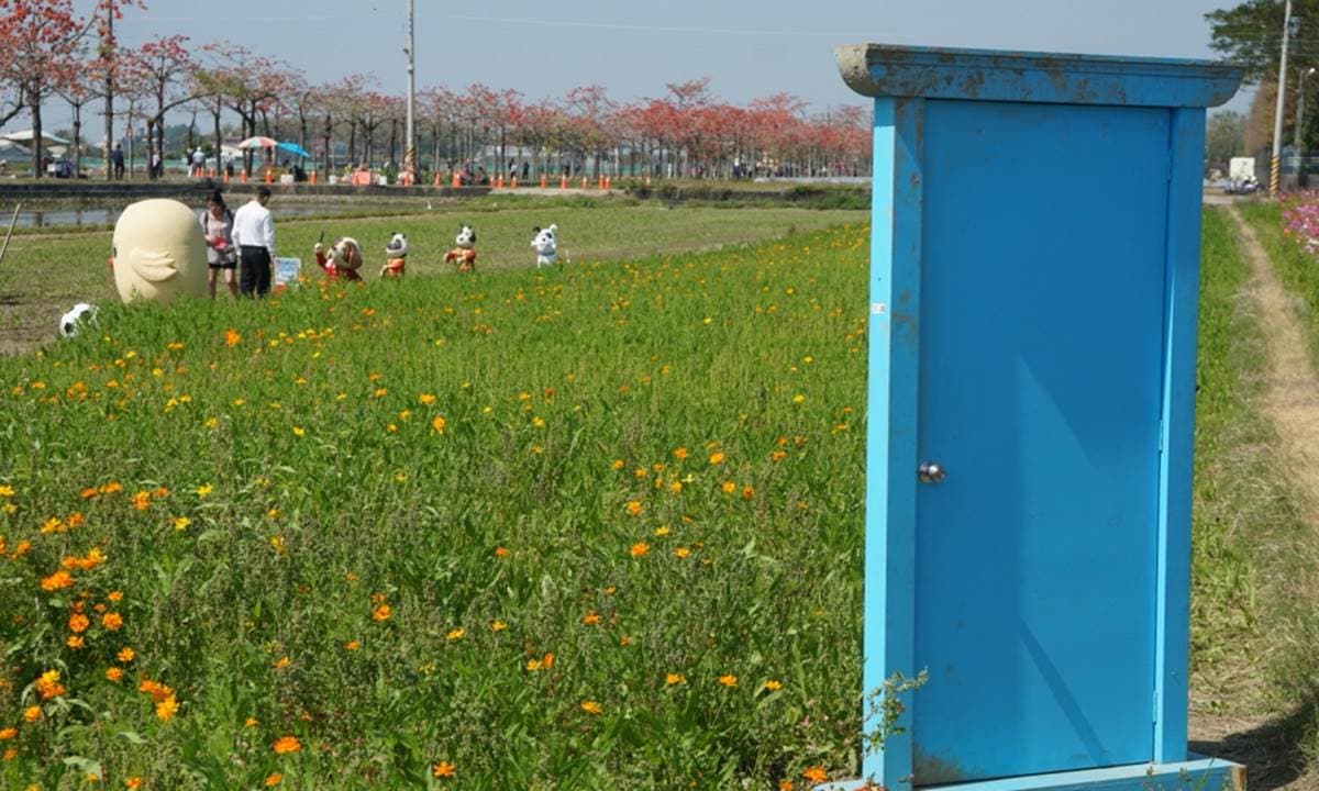 2022台南「白河木棉花季」美炸！朝聖全球最美花海大道，綿延1.7公里超壯觀