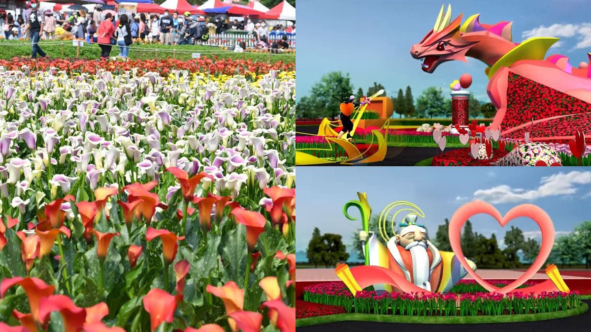 搶拍7.2萬株花海+迪士尼音樂會!「2022桃園彩色海芋季」開跑,限定16天快衝