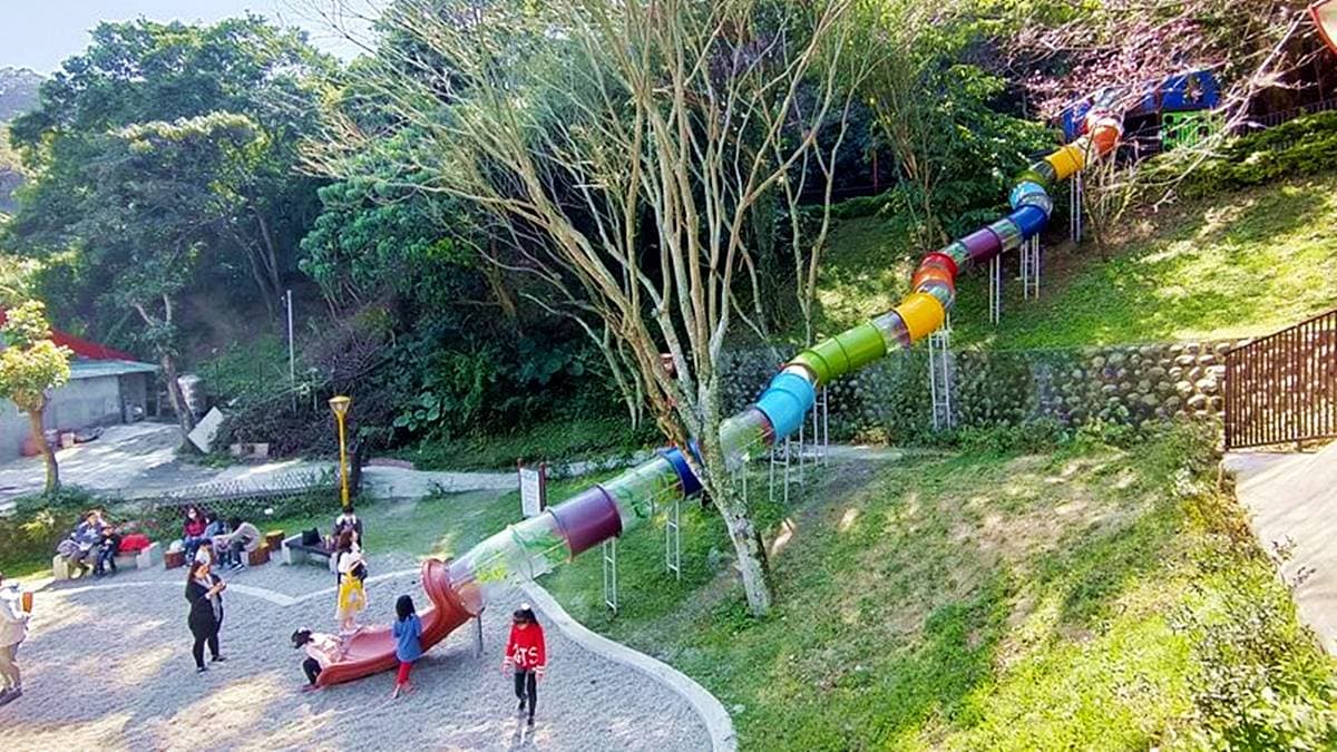 小孩要瘋了!三峽森林系公園先排「30公尺樹藤溜滑梯」,樹屋平台放電一整天