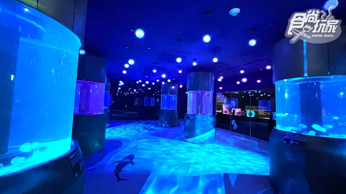 終於等到了!「北北基首座水族館」6月重啟:必衝絕美水母館、7米觀賞缸 終於等到了!「北北基首座水族館」6月重啟:必衝絕美水母館、7米觀賞缸