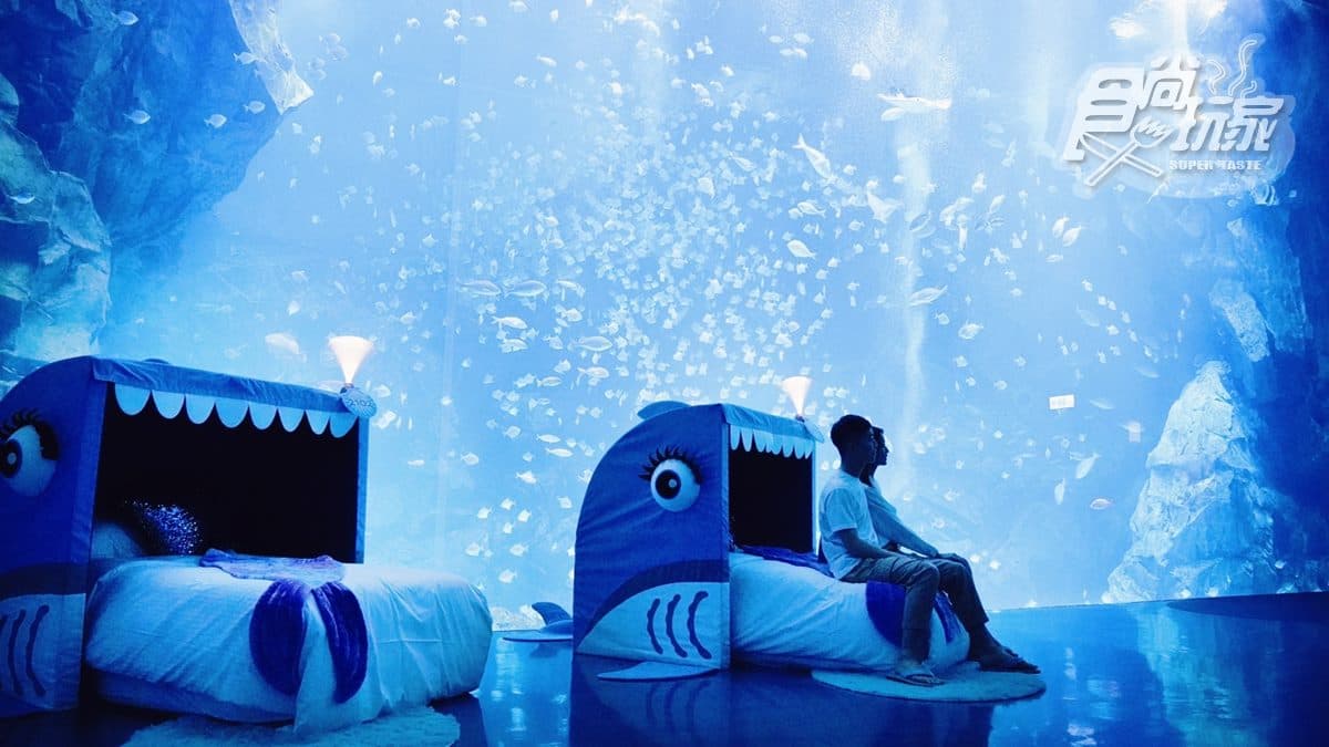 全台唯一頂級海洋系夜宿！可睡Q版鯊魚床看海底生物，還有飯店吃到飽＋宵夜