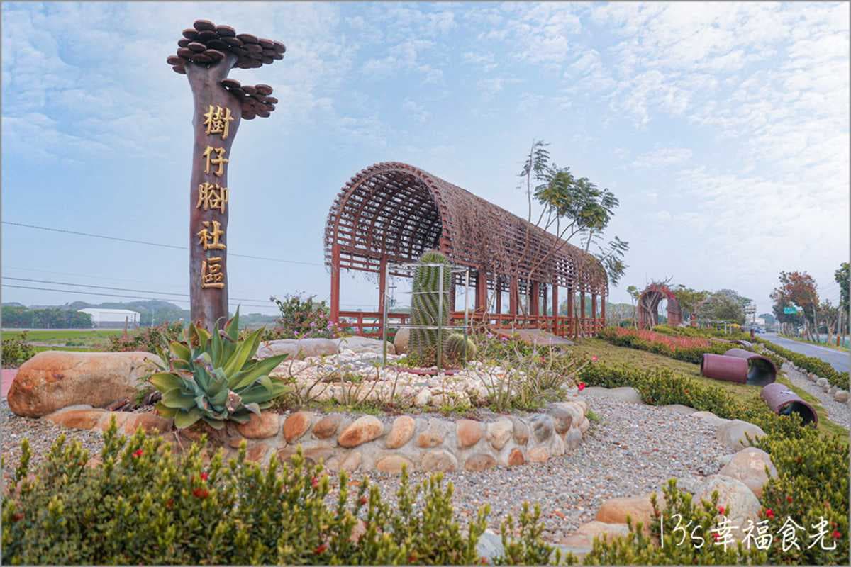 苦楝花大爆發！隱藏版「雪花鳥巢」錯過等明年，祕境樹屋最美角度曝光