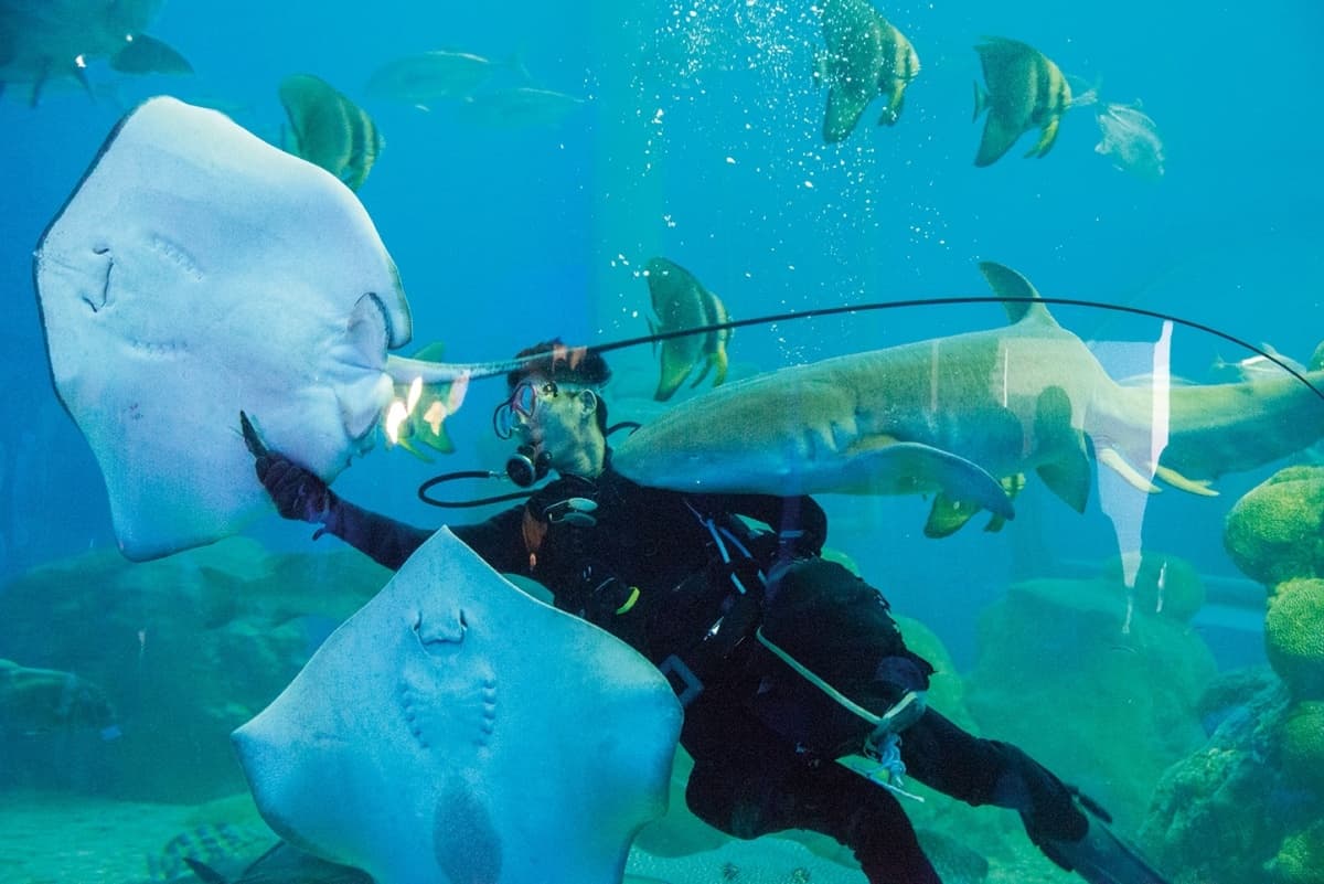 2022澎湖花火節！夜貓族必玩３大體驗：無人島露營、夜宿水族館、最美營車祕境