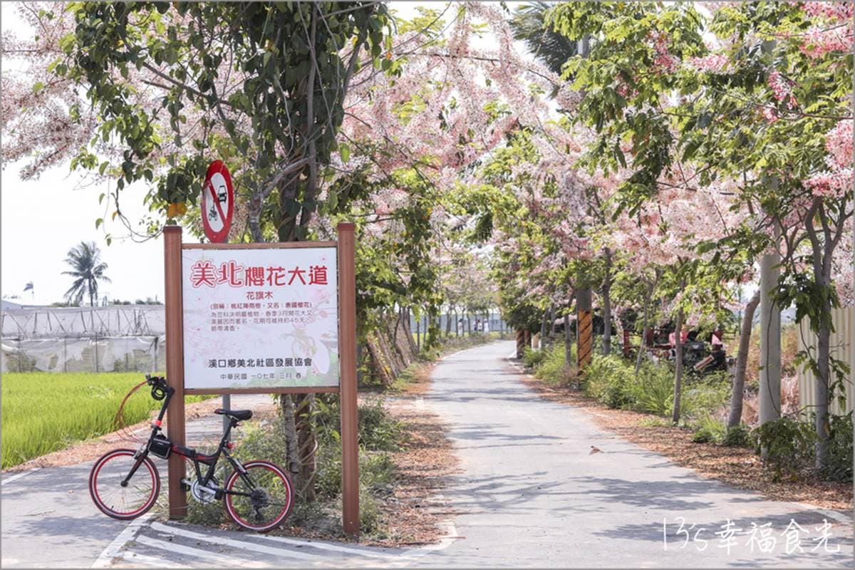 週末放風去！北中南７條自行車道：粉嫩花旗木美翻、CNN世界十大最美車道