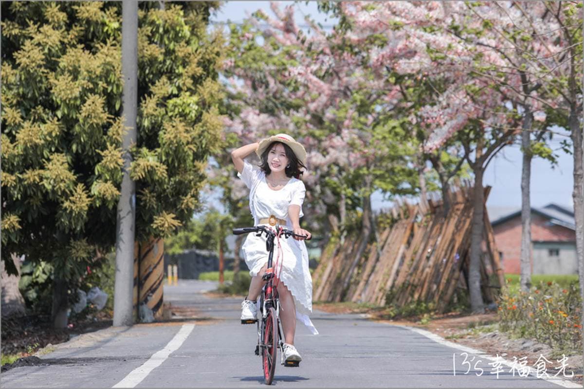 週末放風去！北中南７條自行車道：粉嫩花旗木美翻、CNN世界十大最美車道
