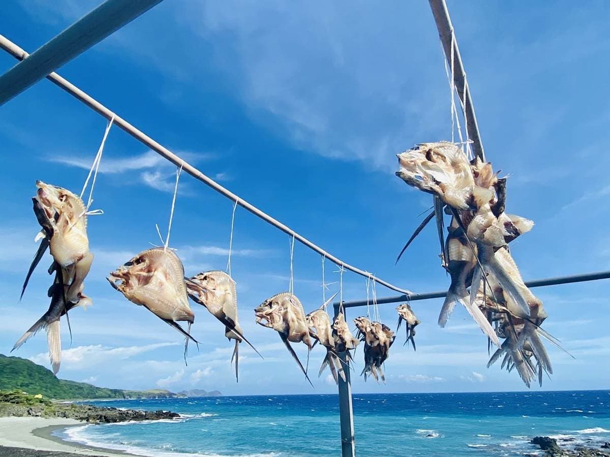 超值海島２玩法！蘭嶼抓飛魚＋綠島浮潛，還有賞鯨、牛奶湖、住萬元海景房