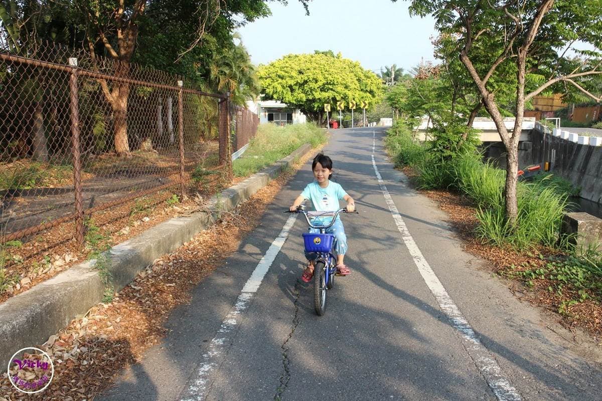 週末放風去！北中南７條自行車道：粉嫩花旗木美翻、CNN世界十大最美車道