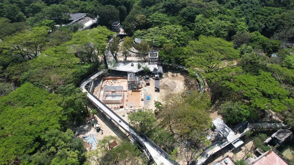 高雄人收口袋名單！「壽山動物園」打造空中長廊＋親水廣場，預計這時完工開園
