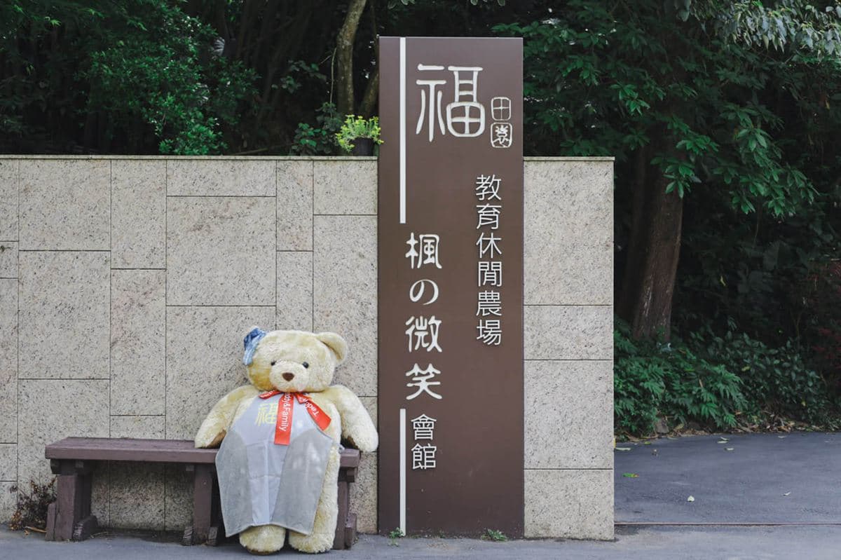 ４月還能賞楓？台北「祕境農場」美拍漸層楓林隧道，玻璃屋打卡絕美落地窗景