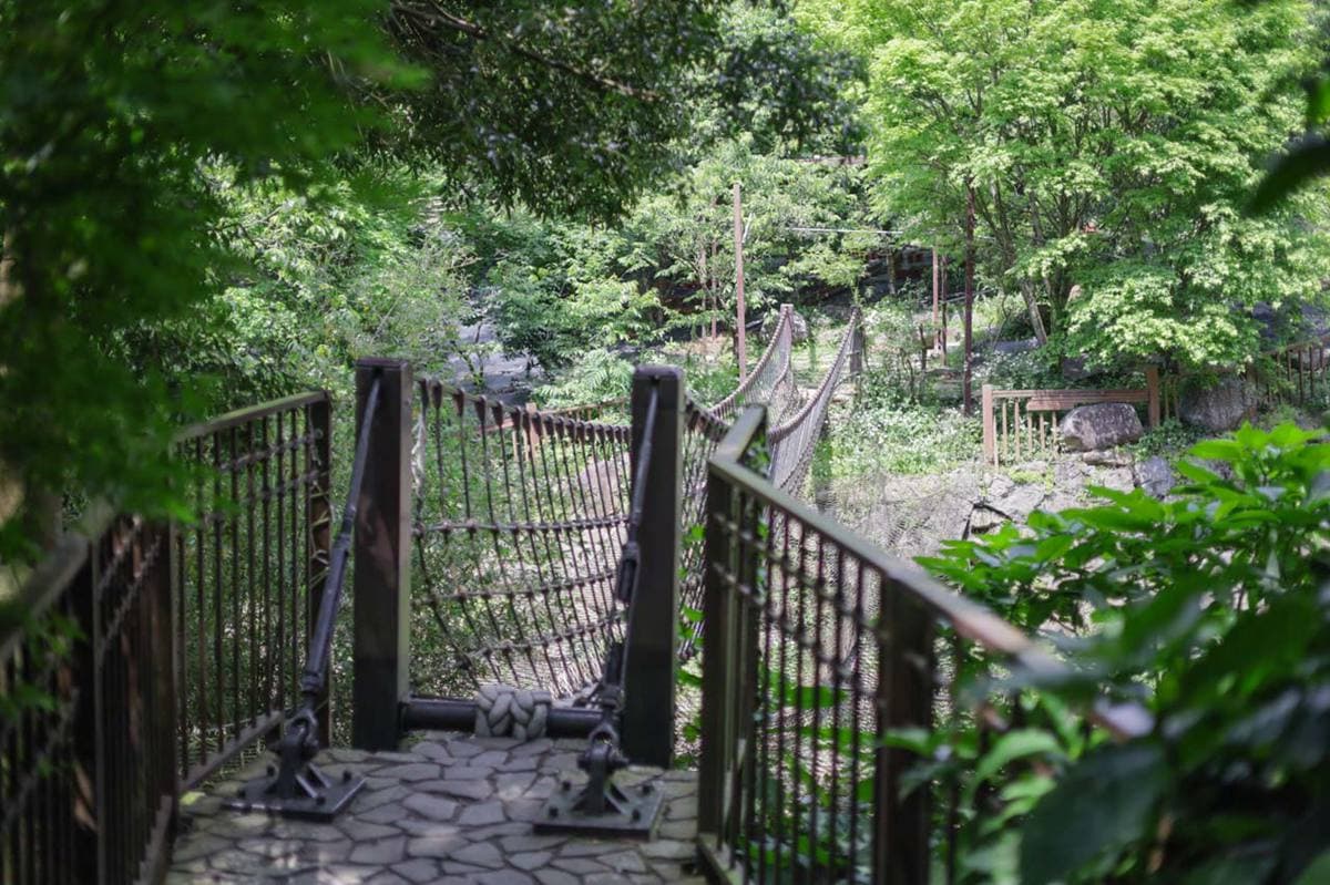 ４月還能賞楓？台北「祕境農場」美拍漸層楓林隧道，玻璃屋打卡絕美落地窗景