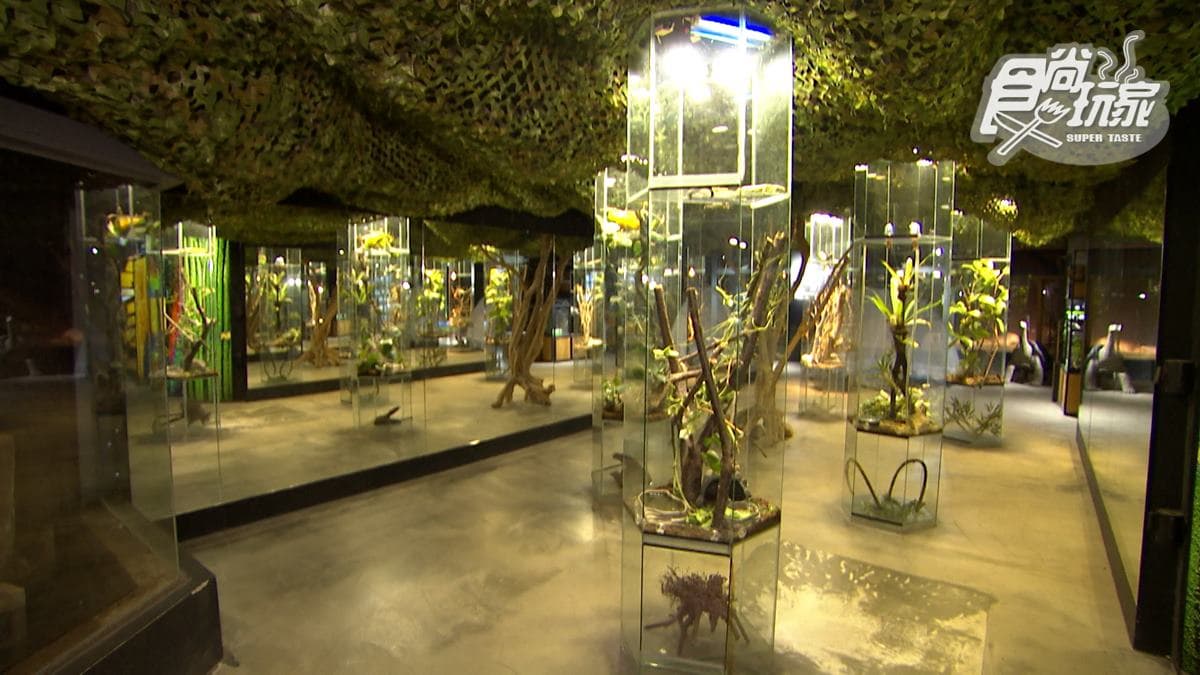 館內還展示了不少昆蟲和動物。