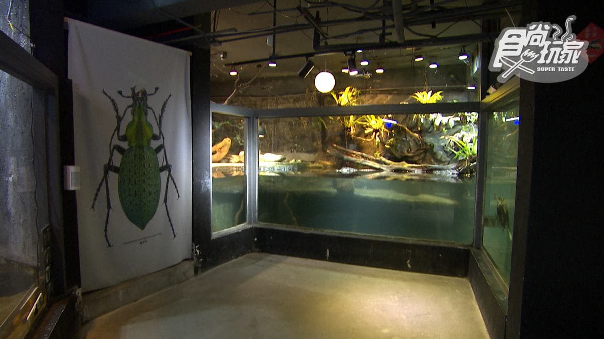 「台灣昆蟲館新竹館」也有展示昆蟲標本。