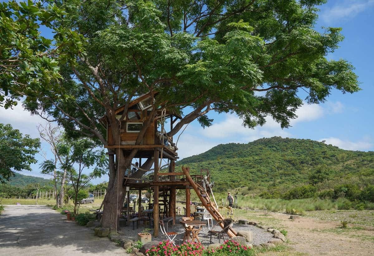 社群暴紅「樹屋祕境」！３層樓高「露天咖啡廳」賞山景好Chill，宛如置身電影場景