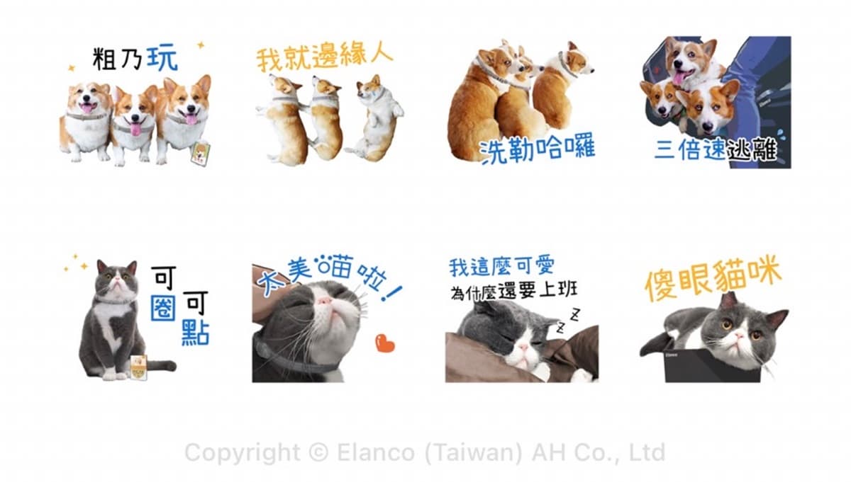 LINE「7款貼圖」免費下載!蠟筆小新、軟爛貓咪一次收,還有超Q柯基、天竺鼠 LINE「7款貼圖」免費下載!蠟筆小新、軟爛貓咪一次收,還有超Q柯基、天竺鼠