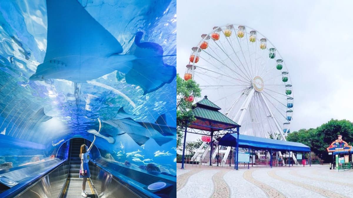 生日對中「這２數字」快衝！小人國只要100元，遠雄海洋公園６月壽星免費玩