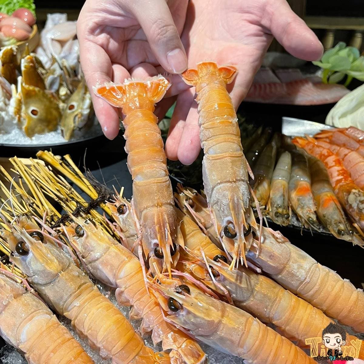 芒果控、火鍋控一次滿足！火鍋吃到飽推霸氣「芒果冰火鍋」，限定金剛蝦必嗑